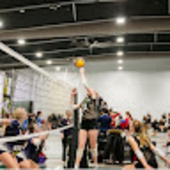 Meet your Posher, Peyton - Picture 1 of 1